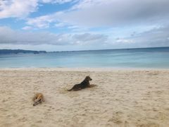 -白沙滩