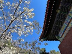 -红螺寺