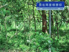 -同里国家湿地公园