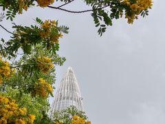 -深圳人才公园