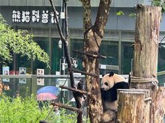 -黔灵山公园