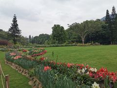 -深圳仙湖植物园-停车场