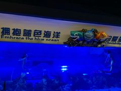 -成都浩海立方海洋公园