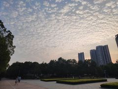 -汉江湾体育公园
