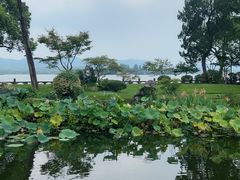 -杭州西湖柳莺里酒店