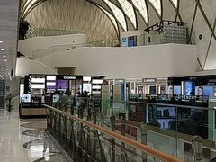 -乐天免税店(明洞店)