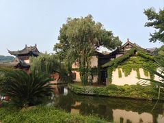 -鲁镇