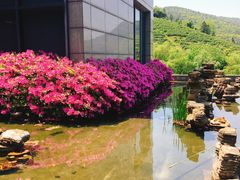 -缥缈峰景区