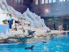 -珠海长隆海洋王国