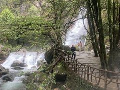 -炎陵县神农谷国家森林公园