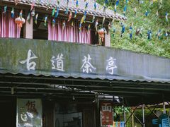 -南山植物园