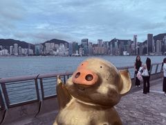 -星光大道
