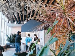 -Seesaw Coffee(朝阳大悦城店)