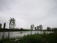 -天津梅江中心皇冠假日酒店