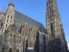 -斯蒂芬主教座堂(Stephansdom)
