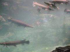 -台州海洋世界