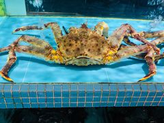 -聚福宝合苑食府(南头镇店)