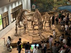 -自贡恐龙博物馆