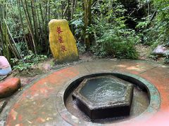 -大屏嶂森林公园
