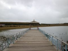 -塞罕坝国家级自然保护区