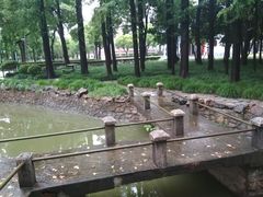 -上海财经大学(国定路校区)
