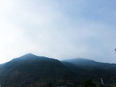 -广州市流溪河国家森林公园