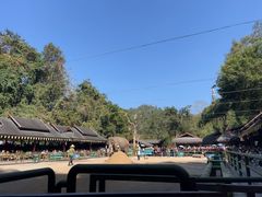 -野象谷景区