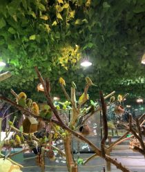 -酷嗒动物文化乐园(cutezoo西溪乐天城店)