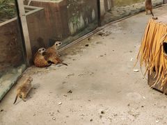 -呀路古热带植物园