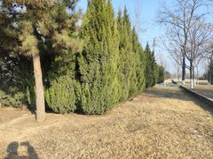 -汉长安城未央宫国家考古遗址公园