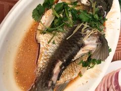 -池记大牌档(广纸店)