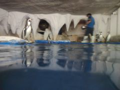 -太平洋海底世界