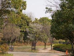 -宝界山林公园