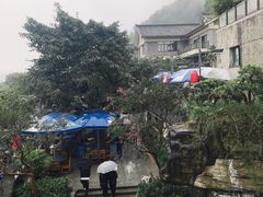 -老幺泉水鸡