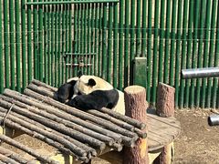 -沈阳森林动物园