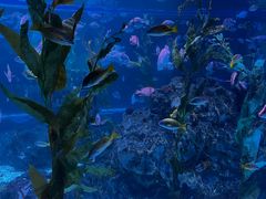 -海合安成都极地海洋公园