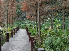 -重庆彩云湖湿地公园