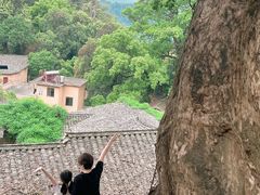 -杨家堂村