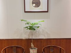 -老雒阳面馆·水席(洛宁高速路口店)