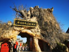 -大槐树寻根祭祖园