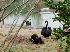 -漩门湾国家湿地公园