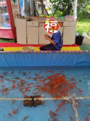 -萌宠亲子动物乐园(槐房万达店)