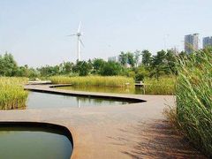 -长白岛森林公园