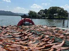 -东钱湖旅游度假区