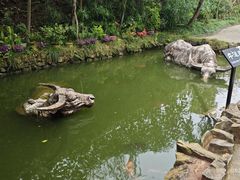 -燊海井