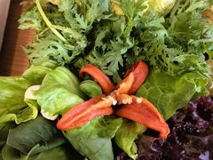 青菜拼盘-掂档潮汕牛肉火锅(沈阳万象城店)