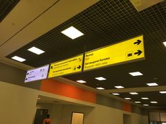 -谢列梅捷沃国际机场