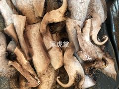-蘑统田下·野生菌火锅