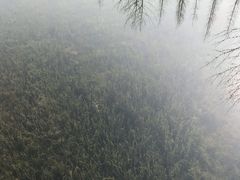 -眉山湿地公园(东坡区)