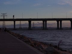 -宝安西湾红树林湿地公园